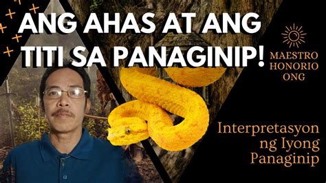 Mga Ahas sa Panaginip: Kahulugan, Interpretasyon, .